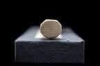 Gesshin Hide 210mm Ginsanko Hon-Kasumi Wa-Gyuto