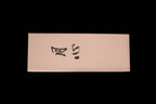 Gesshin 220 Ceramic Stone