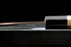 Zakuri 270mm Blue Super Migaki Wa-Gyuto
