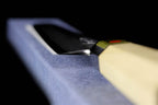 Gesshin Hide 300mm Blue #1 Left-Handed Hon-Kasumi Kensaki Yanagiba
