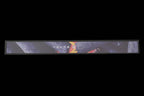 Zakuri 270mm Blue #1 Kurouchi Wa-Sujihiki