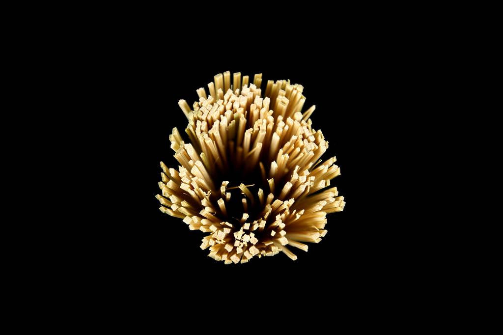 Premium Sasara Brush