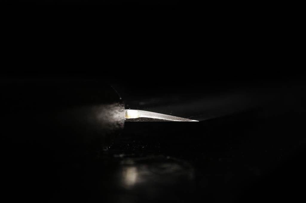 Gesshin Kagekiyo 210mm Stainless Wa-Petty