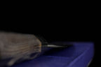 Kochi 180mm Kurouchi Stainless Clad Carbon Wa-Petty