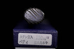Kochi 150mm Kurouchi Stainless Clad Carbon Wa-Petty