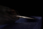 Kochi 240mm Kurouchi Stainless Clad Carbon Wa-Sujihiki
